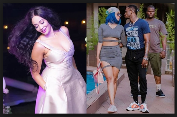 Zari, Tanasha ne Platnumz