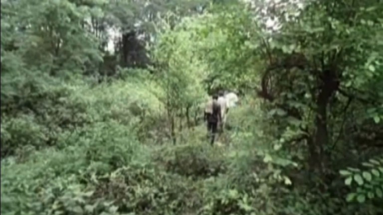 7 Men Gang-Rape 15yr old Girl In Forest