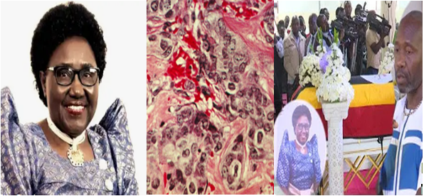 Omutabani Abotodde Ebyama Ekituufu Ekyasse Nnyina Ogwal Omutabani Abotodde Ebyama Ekituufu Ekyasse Nnyina Ogwal